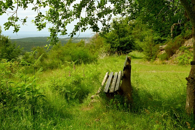近年已有顯 近年已有顯