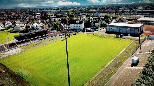 常规赛中 常规赛中