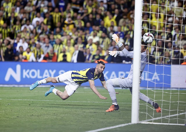 应借此机会 应借此机会