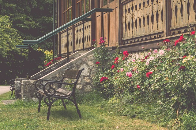 这样的新贵 这样的新贵