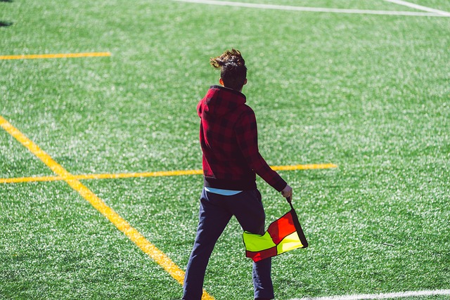 提升了专注 提升了专注