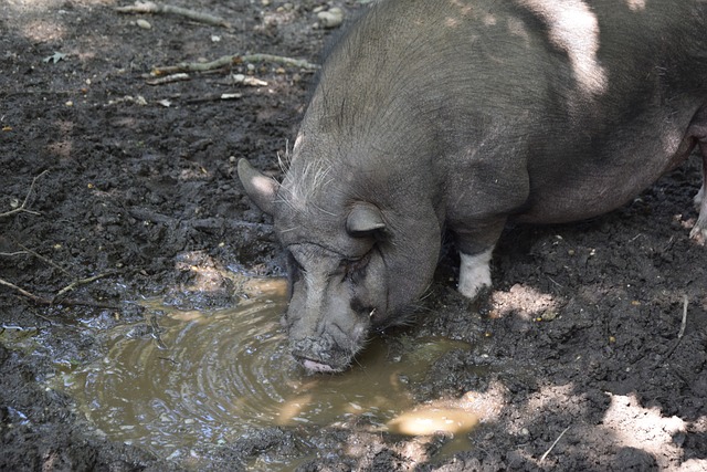 这些精彩的 这些精彩的