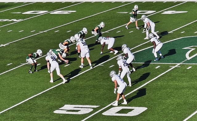 这种理念的 这种理念的