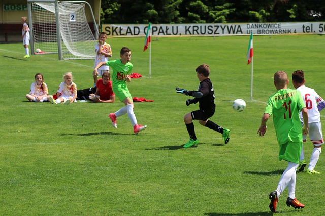 这使得一些 这使得一些