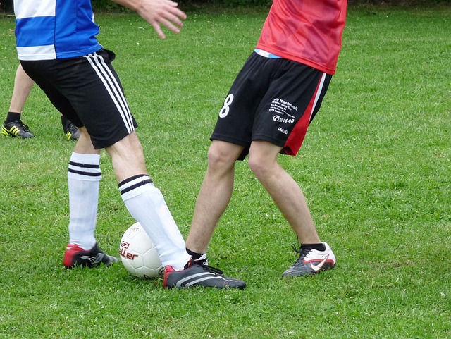 德约科维奇 德约科维奇